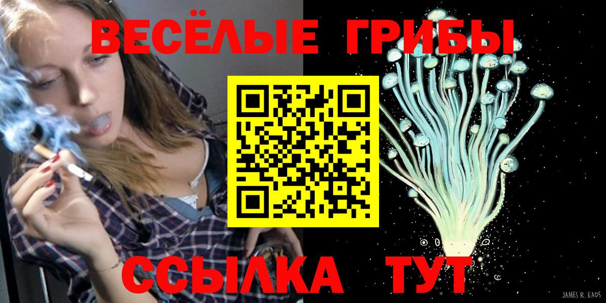 Псилоцибиновые грибы MAGIC MUSHROOMS  Галлюциногенные грибы ЛСД  Вход с VPN  Новоалтайск 